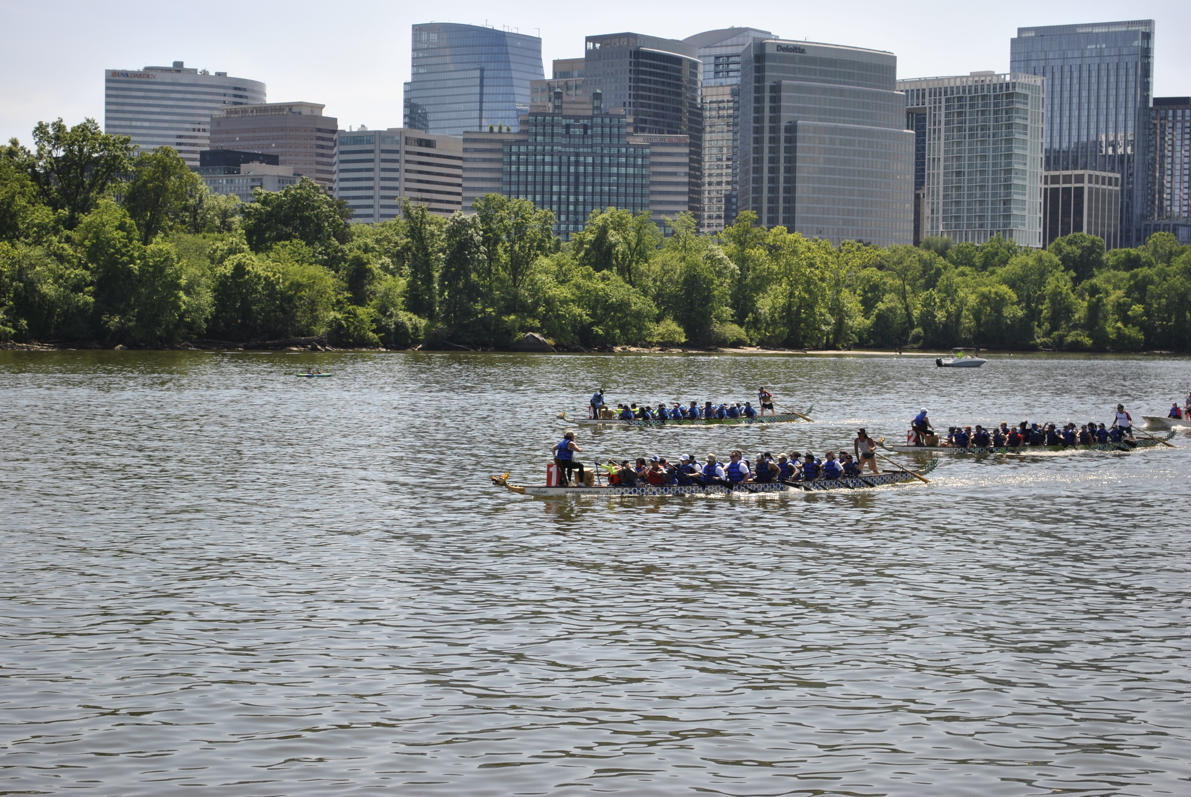 DC Dragon Boat Festival at Georgetown Waterfront Park